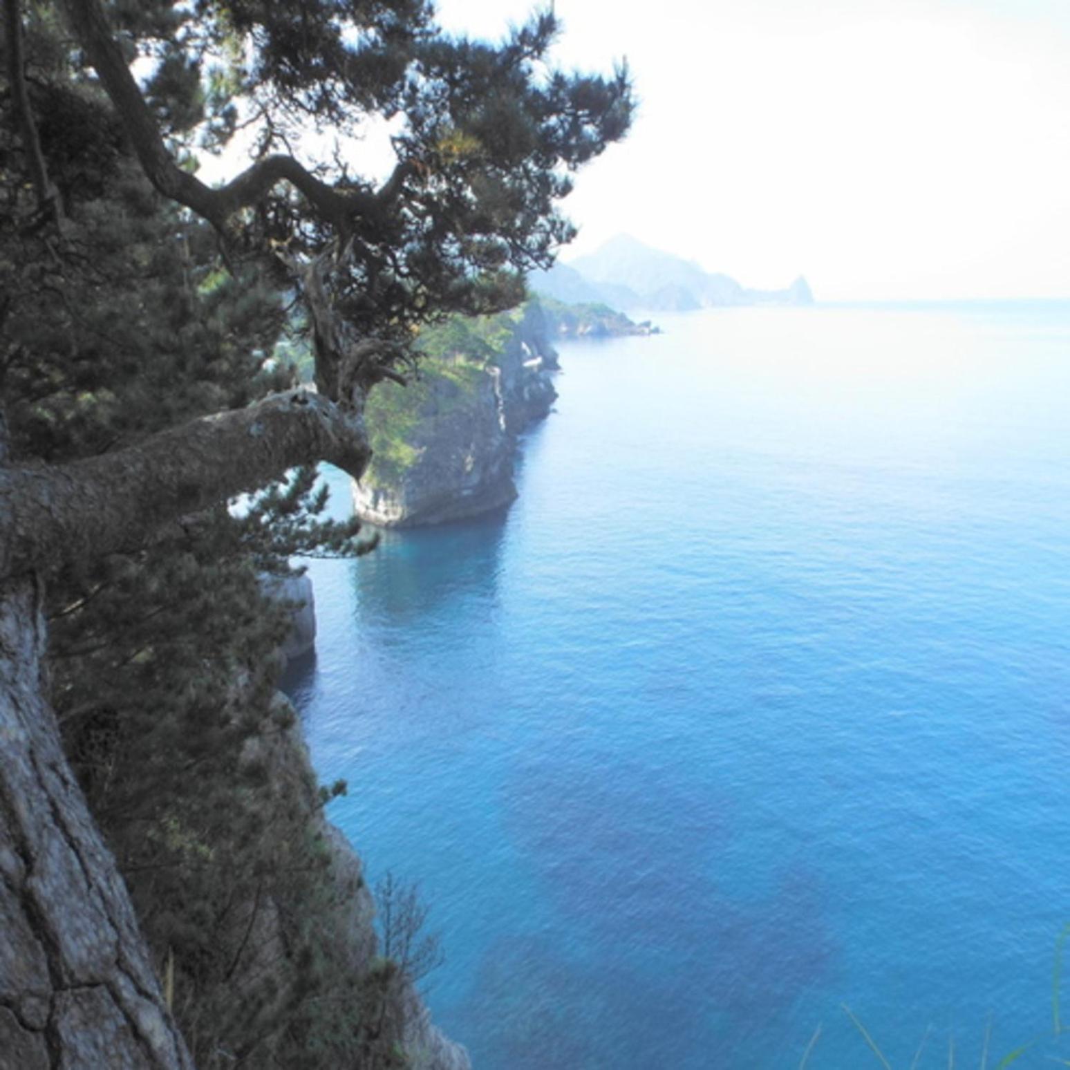Beauty&Spa Resort Izu 頬杖の刻 Ngoại thất bức ảnh